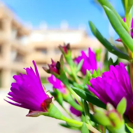 Apartamento Playa Sur By Costa Apartment